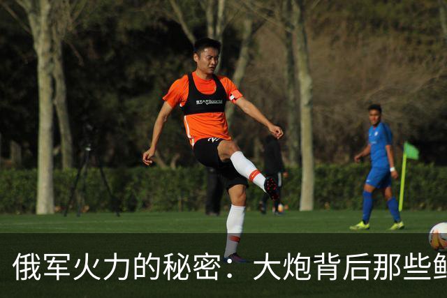 俄军火力的秘密：大炮背后那些鲜为人知的故事