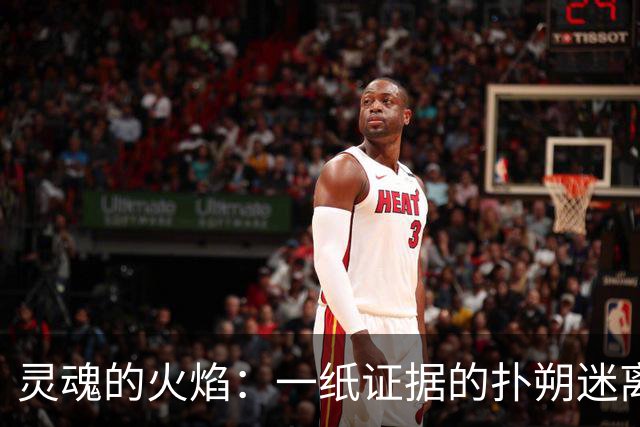 灵魂的火焰：一纸证据的扑朔迷离