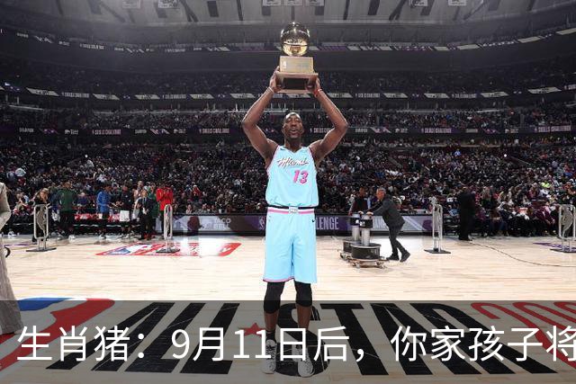 生肖猪：9月11日后，你家孩子将有大事降临，尤其24号，早知早好